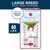 Plus Large Breed Adult Dog Food Dry Formula