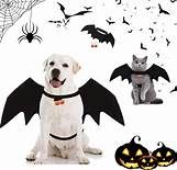 Halloween Pet Bat Wings Costume Cat and Dogs (Size: M/L)