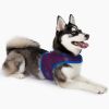 Active Mesh Dog Harness with Leash