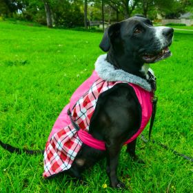 Alpine All-Weather Dog Coat (Color: Raspberry Plaid, Size: X-Small)