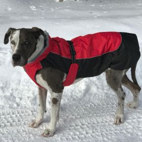 Alpine All-Weather Dog Coat (Color: Red and Black, Size: X-Small)