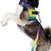 American River Choke Free Dog Harness Ombre Collection