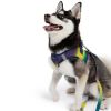 American River Choke Free Dog Harness Ombre Collection