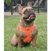 American River Choke Free Harness Hawaiian Trim