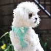 American River Choke Free Dog Harness Polka Dot Collection