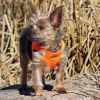 American River Solid Ultra Choke Free Dog Harness