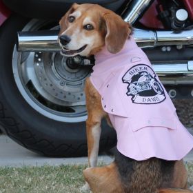 Biker Dawg Motorcycle Dog Jacket (Color: Pink, Size: Small)