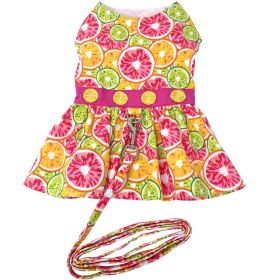 Citrus Slice Dog Dress with Matching Leash (Size: X-Small)