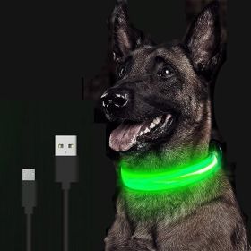 LED Glowing Dog Collar Rechargeable Luminous Collar Adjustable large Dog Night Light Collar Pet Safety Collar for Small Dogs Cat ,halloween pet collar (Color: Blue Battery, Size: M)