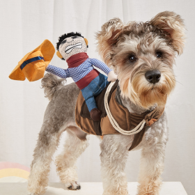 Cowboy Rider Pet Costume, Funny Dog Costume For Small Medium Dogs & Cats, Pet Clothes (Color: Mixed Color, Size: M)