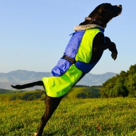 Alpine All-Weather Dog Coat (Color: Blue and Green, Size: 3X-Large)