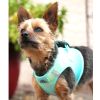 American River Choke Free Dog Harness Ombre Collection