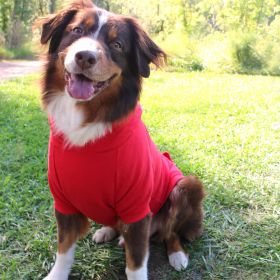 Flex-Fit Dog Hoodie (Color: Red, Size: 2X-Large)