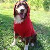 Flex-Fit Dog Hoodie