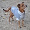 Highline Fleece Dog Coat