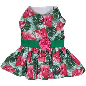 Juicy Watermelon Dog Dress with Matching Leash (Size: X-Large)