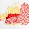 Movie Theater Popcorn Dog Dress with Matching Leash