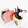 Movie Theater Popcorn Dog Dress with Matching Leash