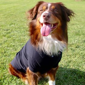 Solid Dog Polo (Color: Jet Black, Size: 2X-Large)