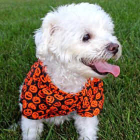 Halloween Camp Shirts (Color: Halloween Jack-o-Lanterns, Size: X-Small)