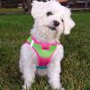 American River Choke Free Dog Harness Ombre Collection