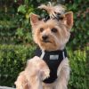 American River Solid Ultra Choke Free Dog Harness