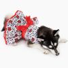 Holiday Dog Harness Dress