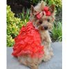 Holiday Dog Harness Dress