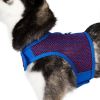 Active Mesh Dog Harness with Leash