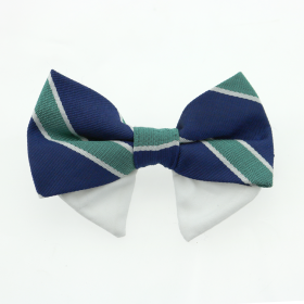 Universal Dog Bow Tie (Color: Navy Blue and Green Stripe, Size: Type 2)