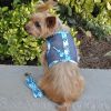 Cool Mesh Dog Harness with Leash